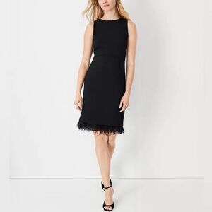 Ann Taylor Black Dress with Feather Detail